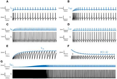 Spike-frequency adaptation inhibits the pairwise spike correlation